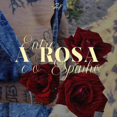 Entre a Rosa E O Espinho