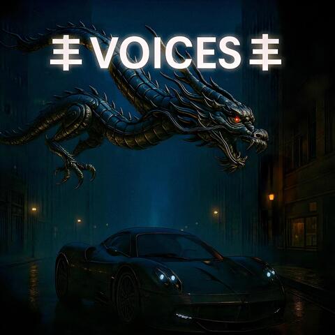 丰VOICES丰