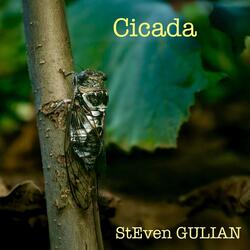 Cicada