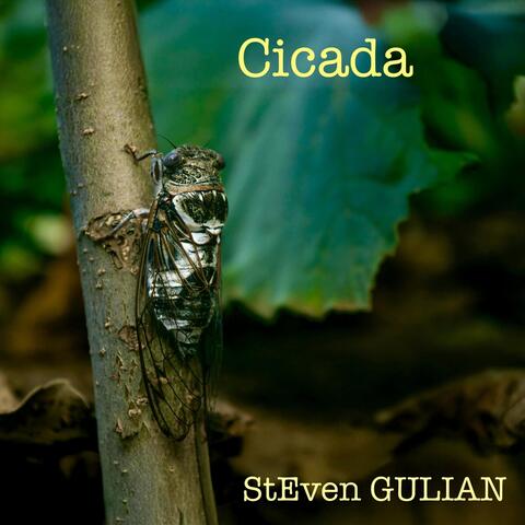 Cicada