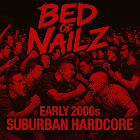2000s Suburban Hardcore