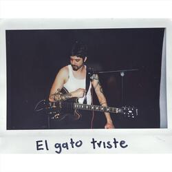 El gato triste