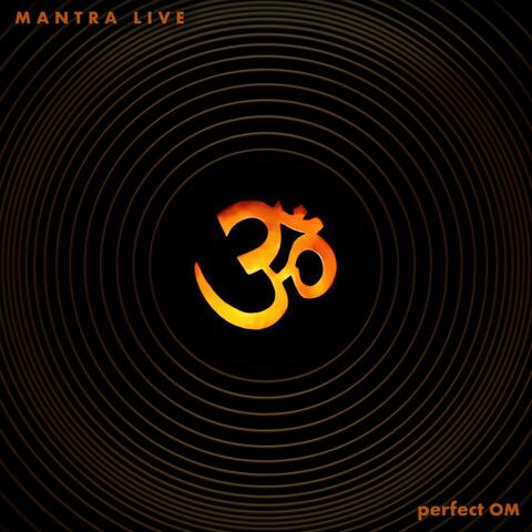 Perfect OM