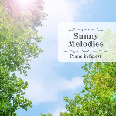 Sunny Melodies