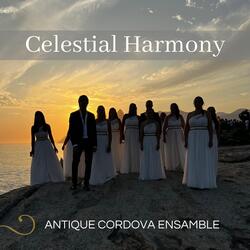 Come to Me (feat. Nelson Fernando Quilis)