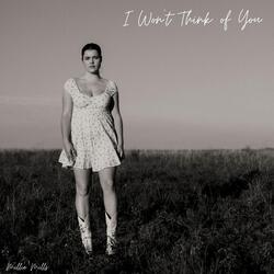 I Won't Think of You