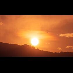 Stepping into Paradise