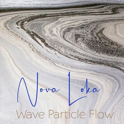 Wave Particle Flow