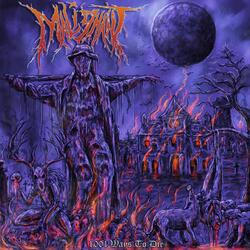 Devoured By Swine