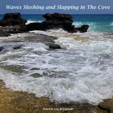 Waves Sloshing and Slapping in the Cove