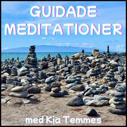 Självläkning, guidad meditation