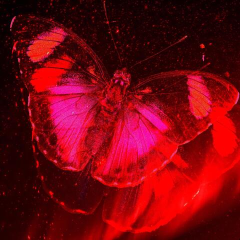 Metamorphosis