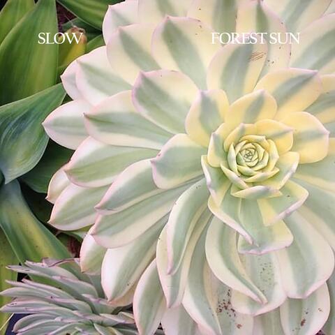 Slow