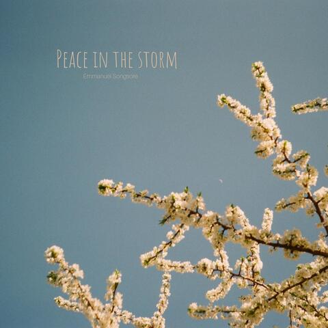Peace in the Storm