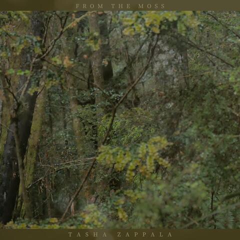 From the Moss