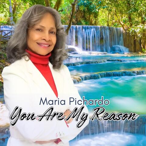 You Are My Reason