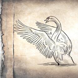 The Swan Song