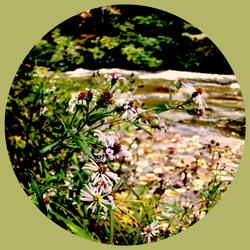 All This Is Just To Say