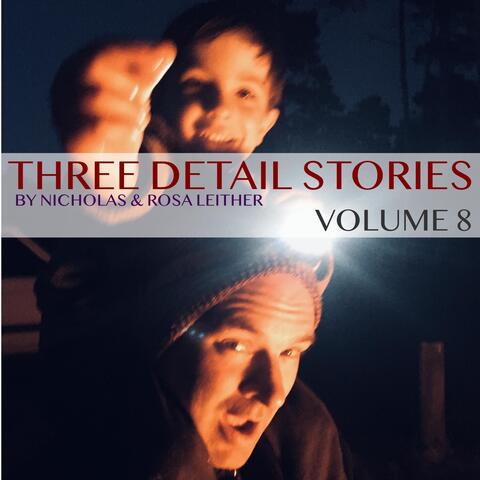 Three Detail Stories, Vol. 8