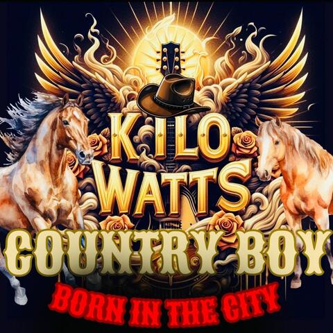 Country Boy Born in the City