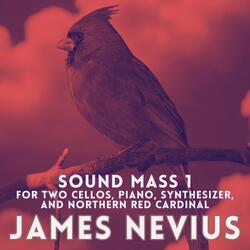Sound Mass 1 for Two Cellos, Piano, Synthesizer, and Northern Red Cardinal