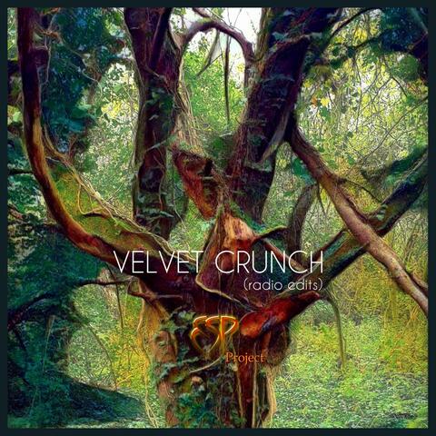 VELVET CRUNCH (radio edits)