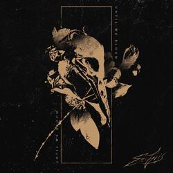 Until We Bloom