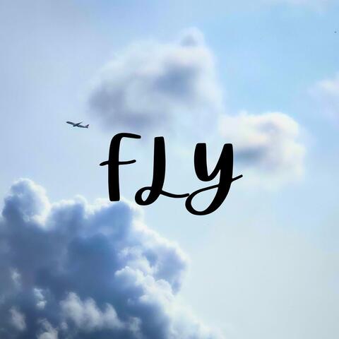 Fly