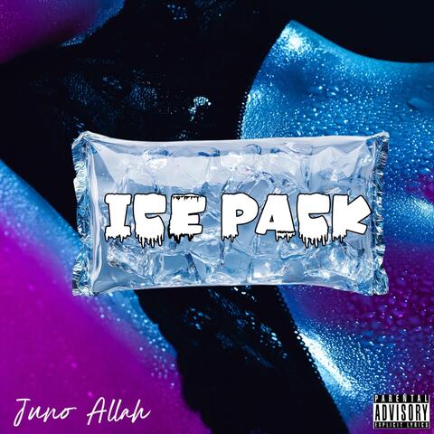 Ice Pack