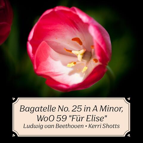 Bagatelle No. 25 in A Minor, WoO 59 "Für Elise"