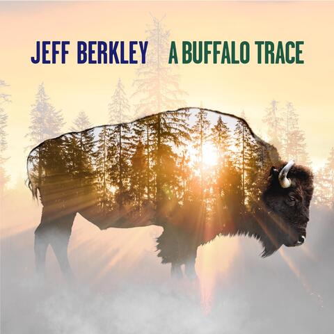 A Buffalo Trace