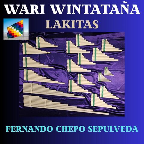 Wari Wintataña Lakitas