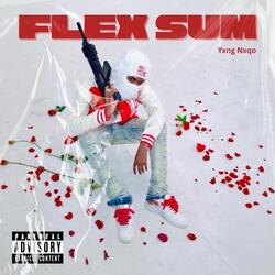Flex Sum