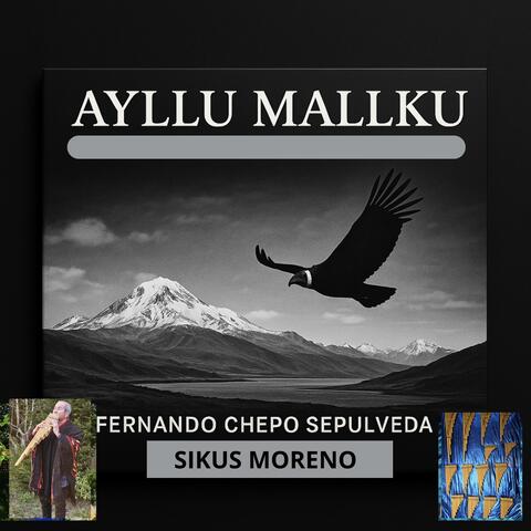 Ayllu Mallku Sikus Moreno