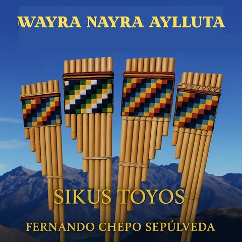 Wayra Nayra Aylluta Sikus Toyos