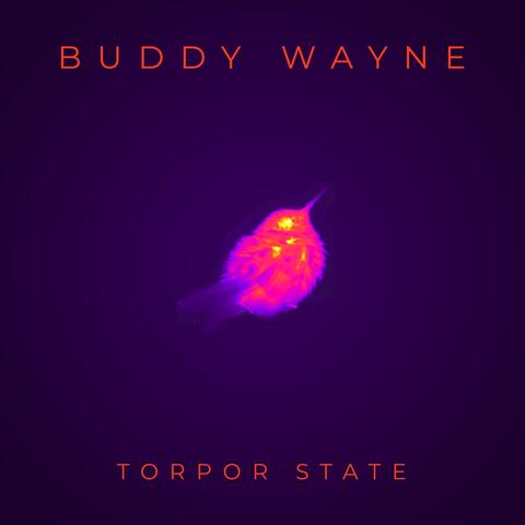 Torpor State