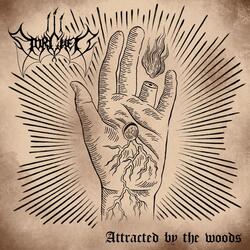 Attracted By The Woods