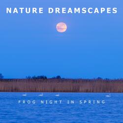 Frog Night in Spring