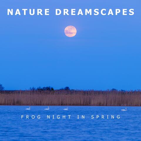 Frog Night in Spring