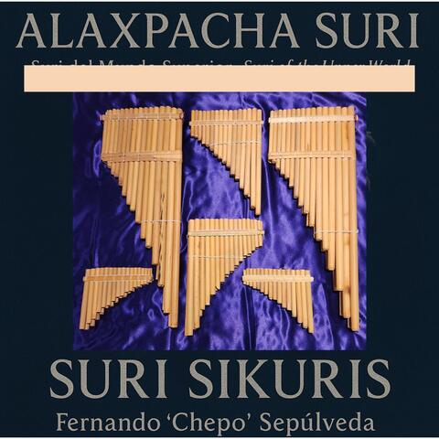 Alaxpacha Suri Suri Sikuris