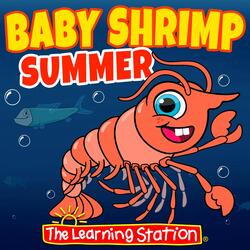 Baby Shrimp Summer