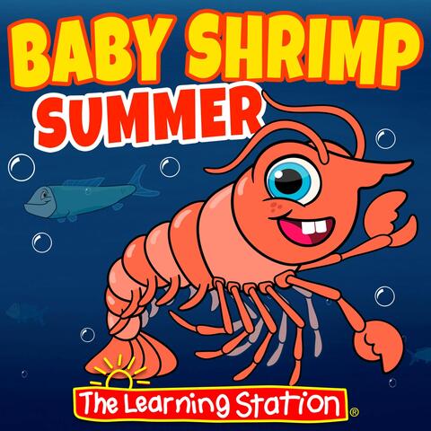 Baby Shrimp Summer