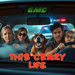 This Crazy Life