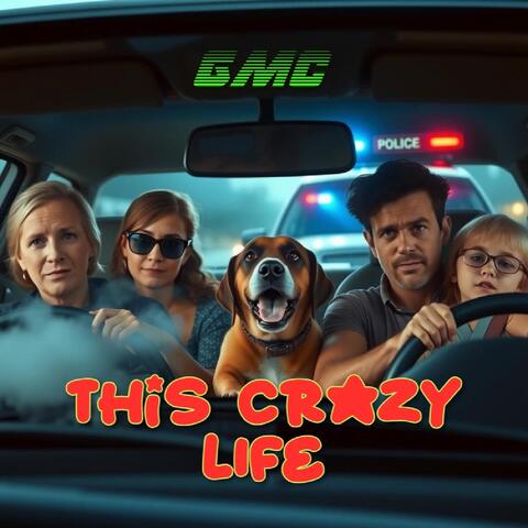 This Crazy Life