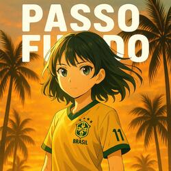 PASSO FUNDO (SPED UP)