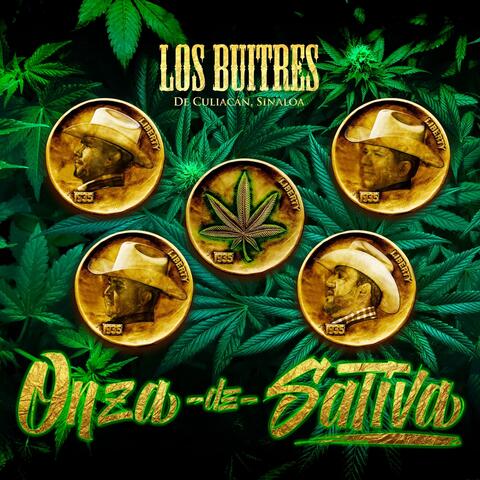 Onza De Sativa