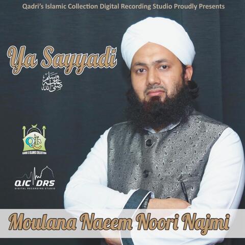 Ya Sayyadi