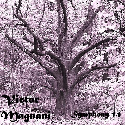 Symphony 1.1