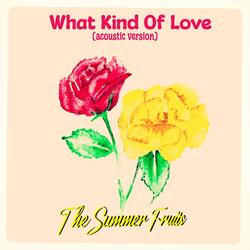 What Kind of Love (Acoustic Version)