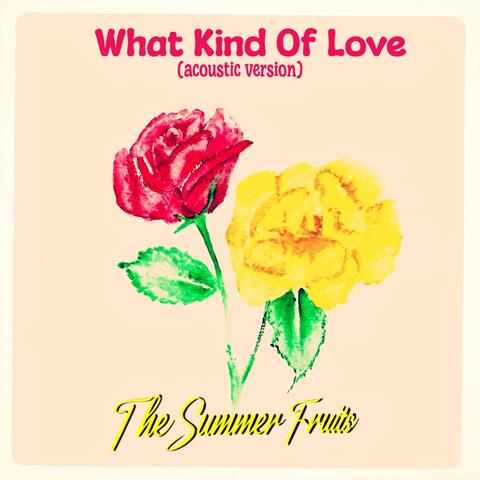 What Kind of Love (Acoustic Version)